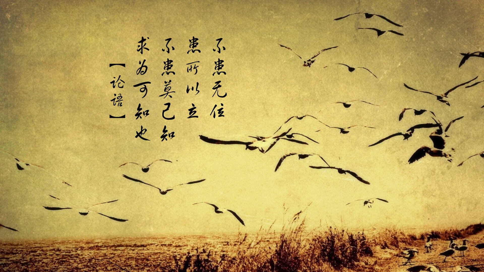 last-minute hero! 王强三分绝杀，带队实现神奇逆转！，15222731253王强