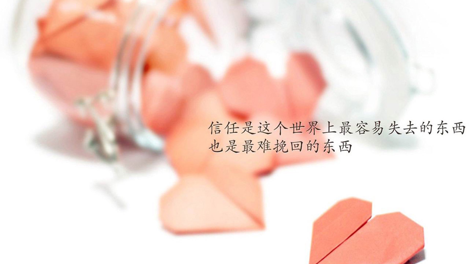 场外狂欢：车迷盛会与文化展演
