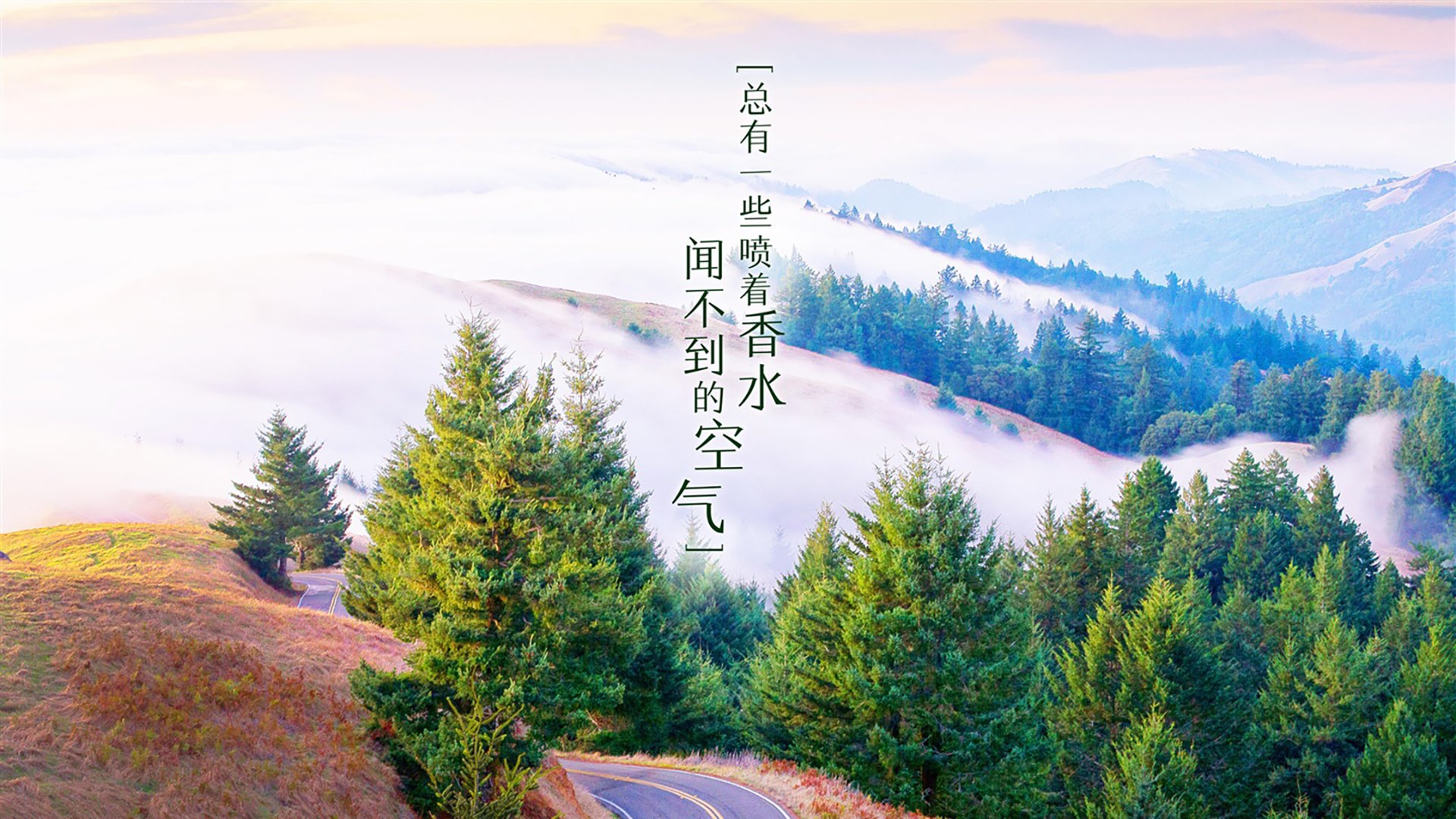 千叶喷射机季初状态回暖，日本千叶喷气机篮球队