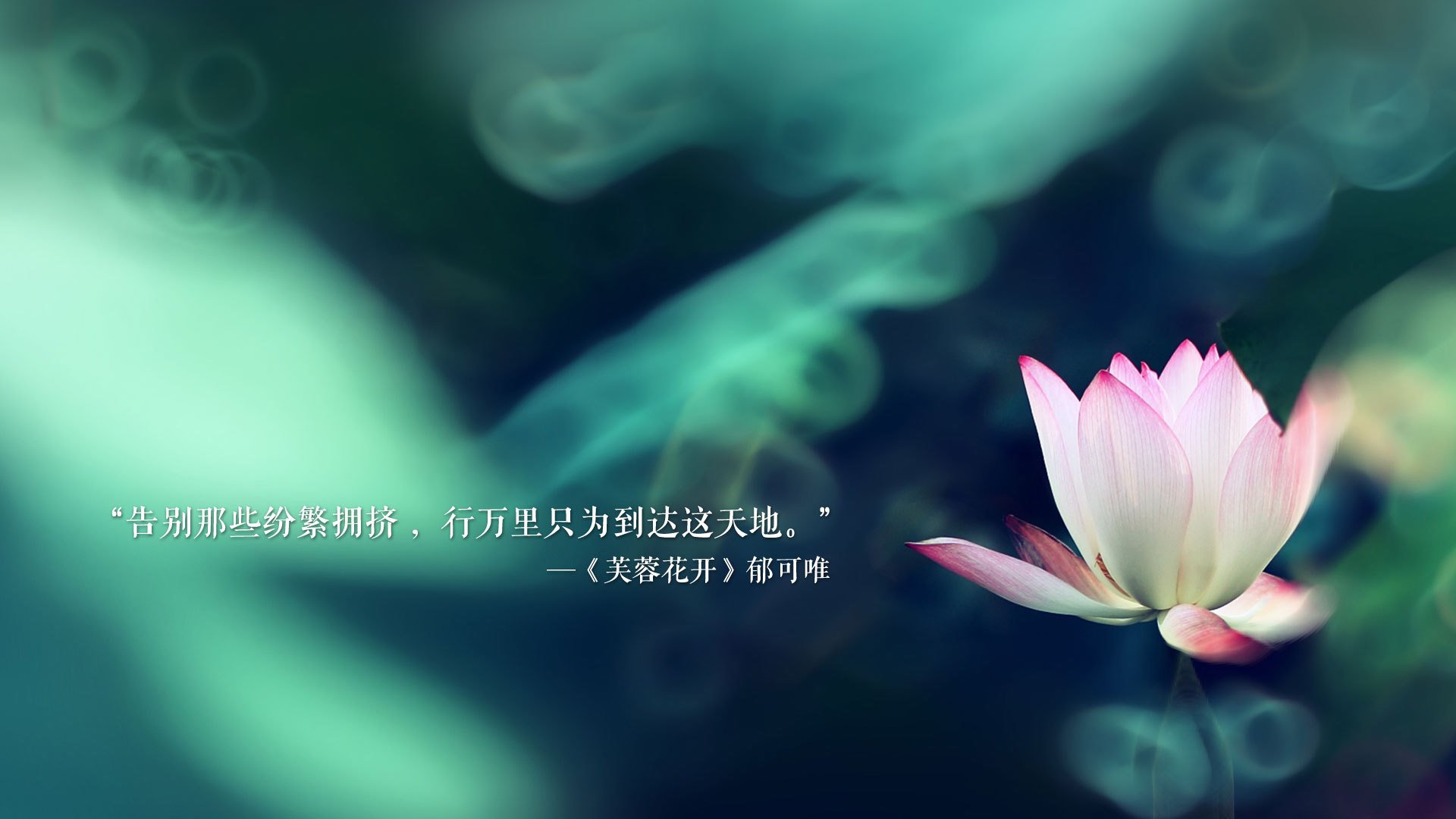 塞维利亚人员众多，勒沃库森外援受限，势均力敌，塞维利亚队