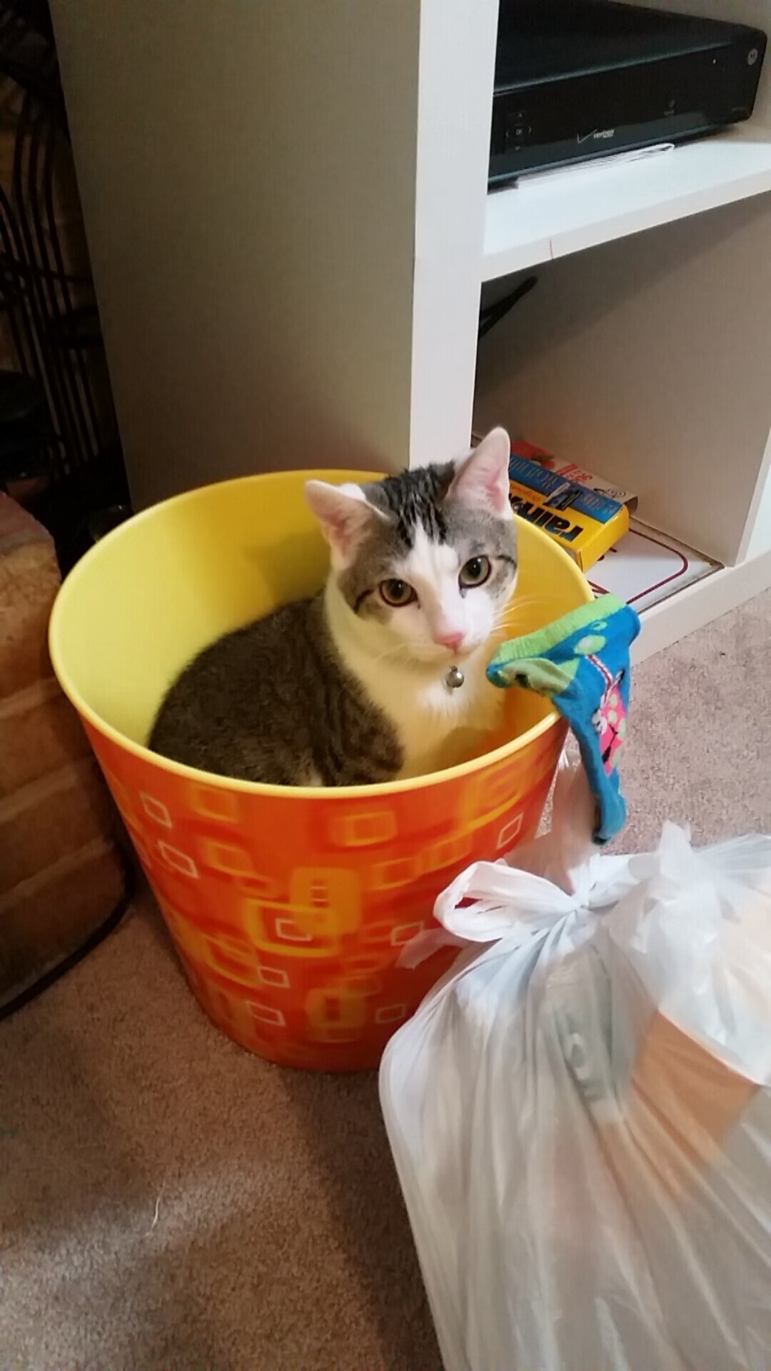 西班牙女足队稳扎稳打，晋级下一轮，西班牙女足队长