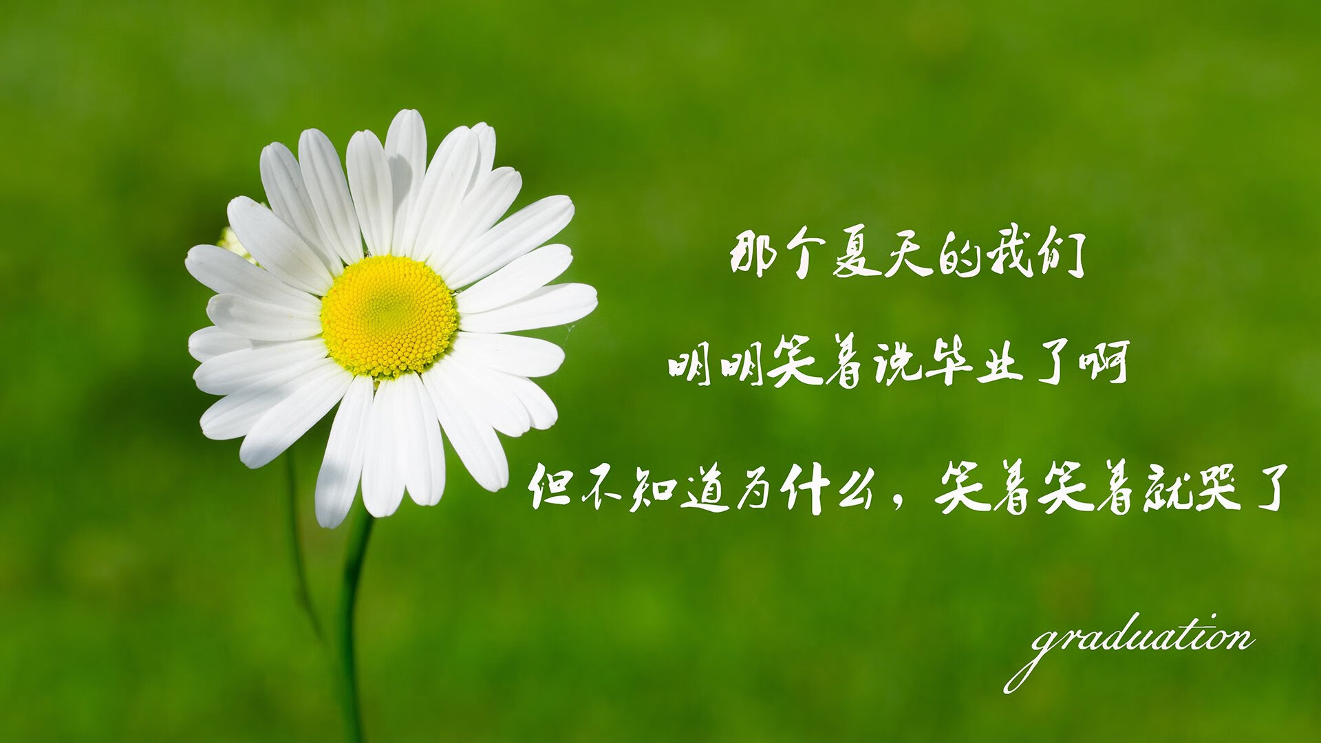 亚洲杯中国青年队战平 球迷积极支持球队，亚洲青年杯积分榜