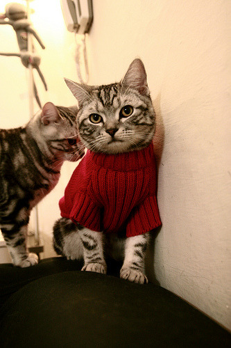 瑞·弗兰：每一次防守后，他都能迅速带领全黑队完成精彩反击，瑞弗兰用法