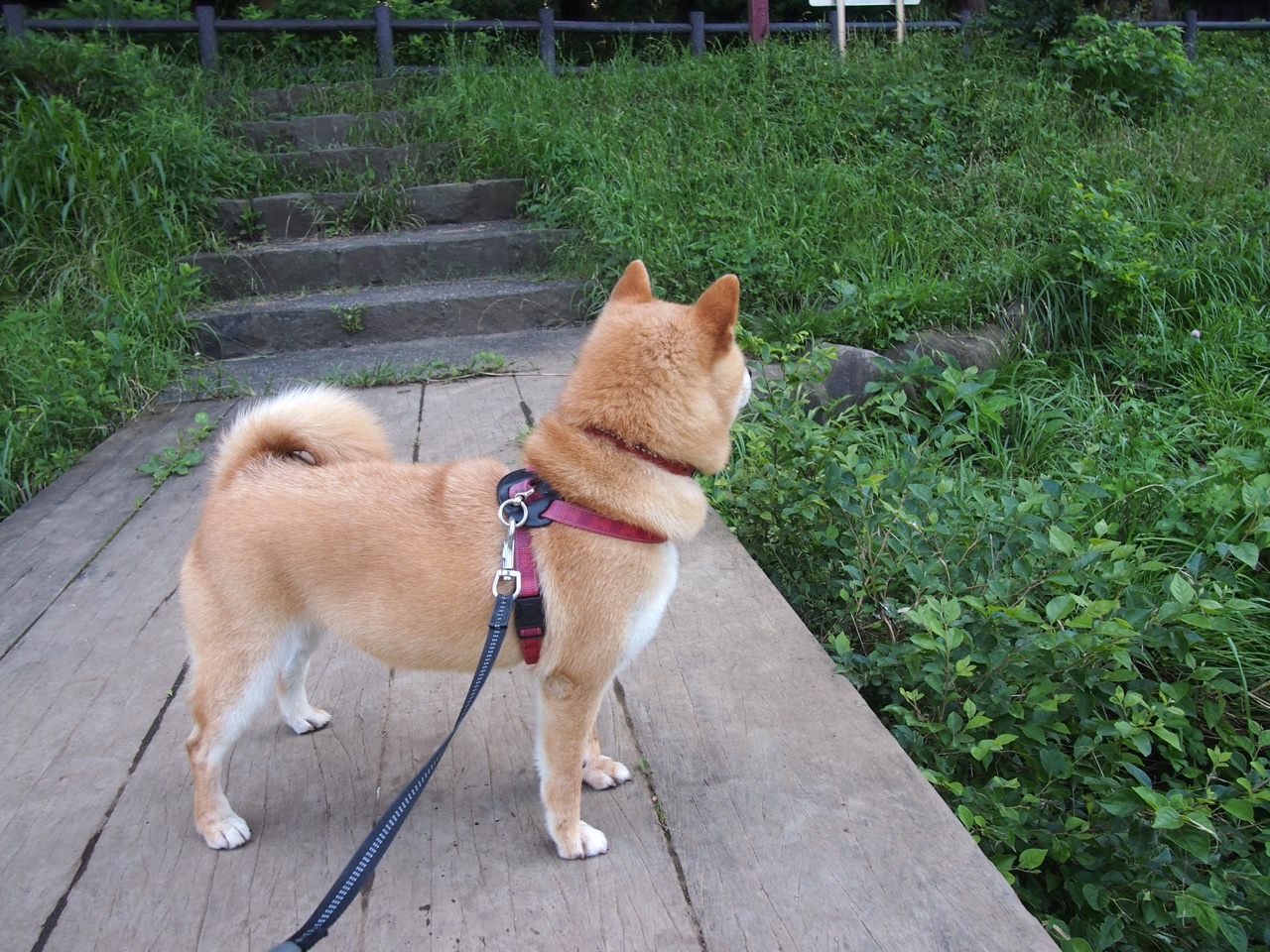 詹姆斯迎来生涯第两千场比赛，詹姆斯生涯第二场比赛